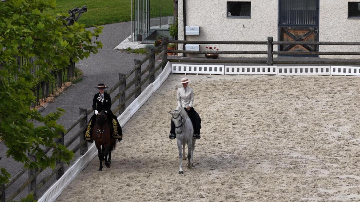 Posestvo Pule Equestrian Estate Trebelno Exterior foto