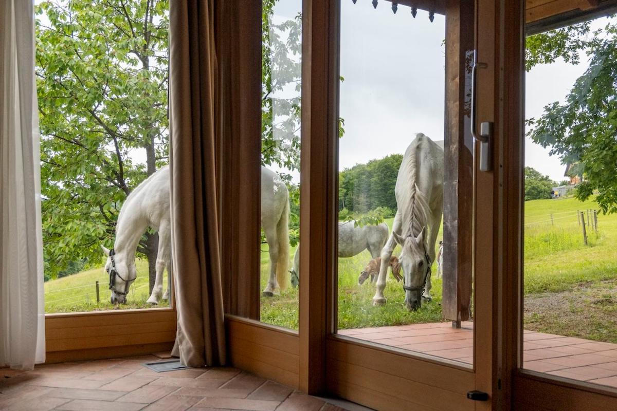Posestvo Pule Equestrian Estate Trebelno Exterior foto