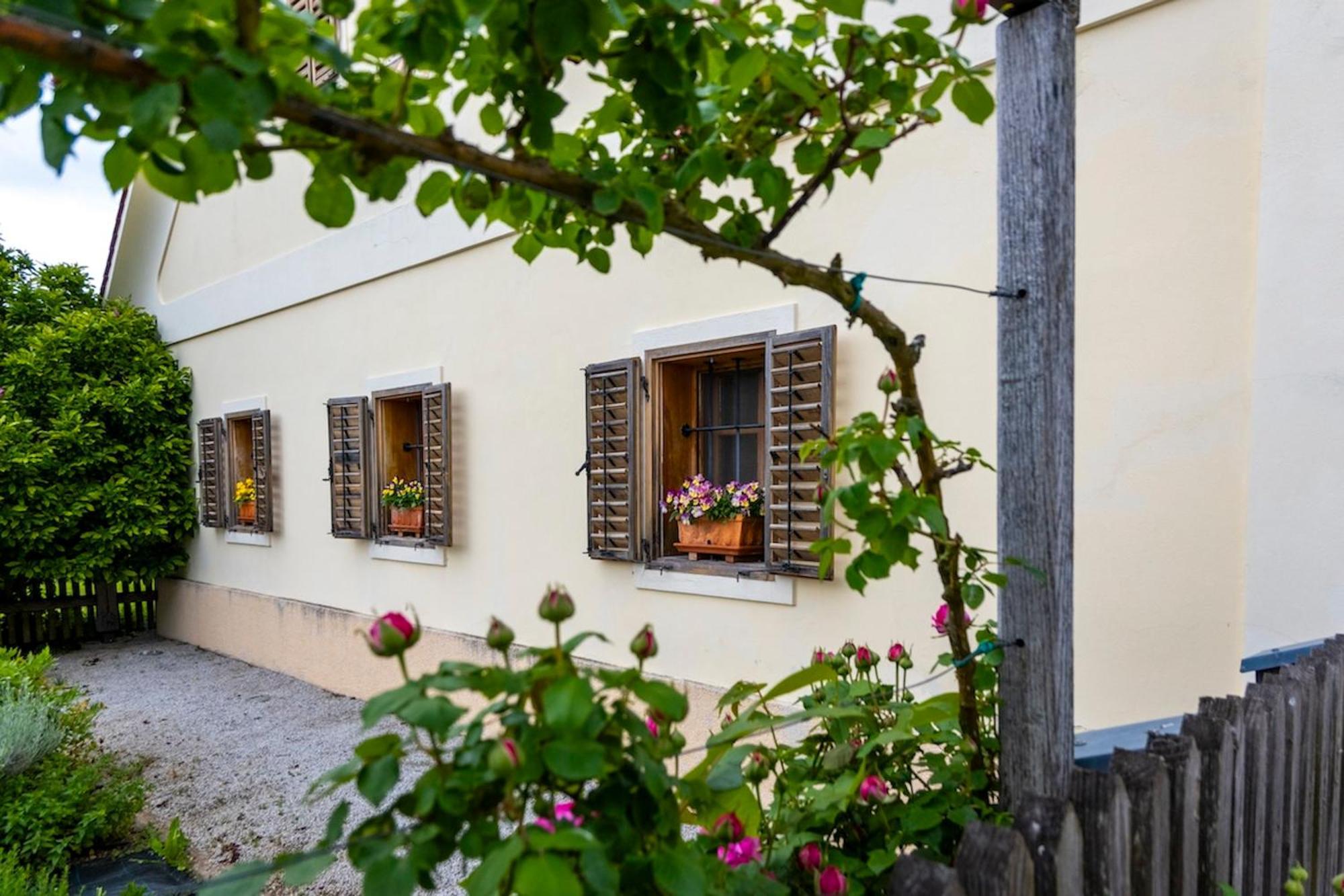 Posestvo Pule Equestrian Estate Trebelno Exterior foto