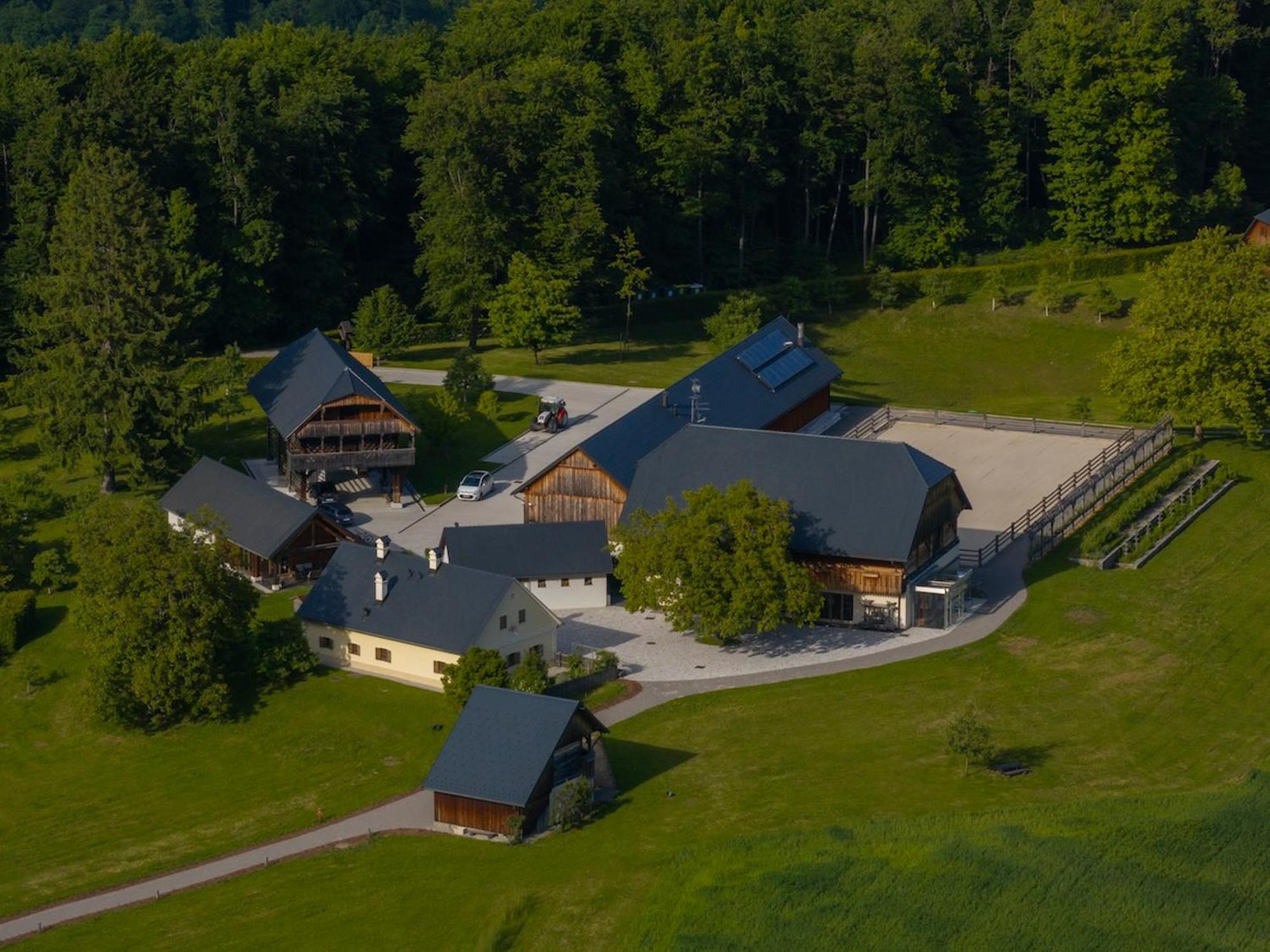 Posestvo Pule Equestrian Estate Trebelno Exterior foto