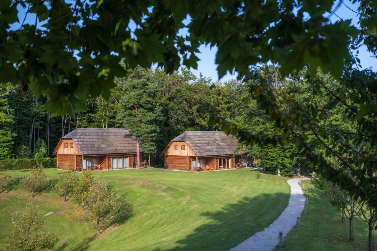 Posestvo Pule Equestrian Estate Trebelno Exterior foto
